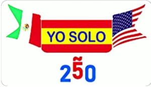 pin Yosolo 250 